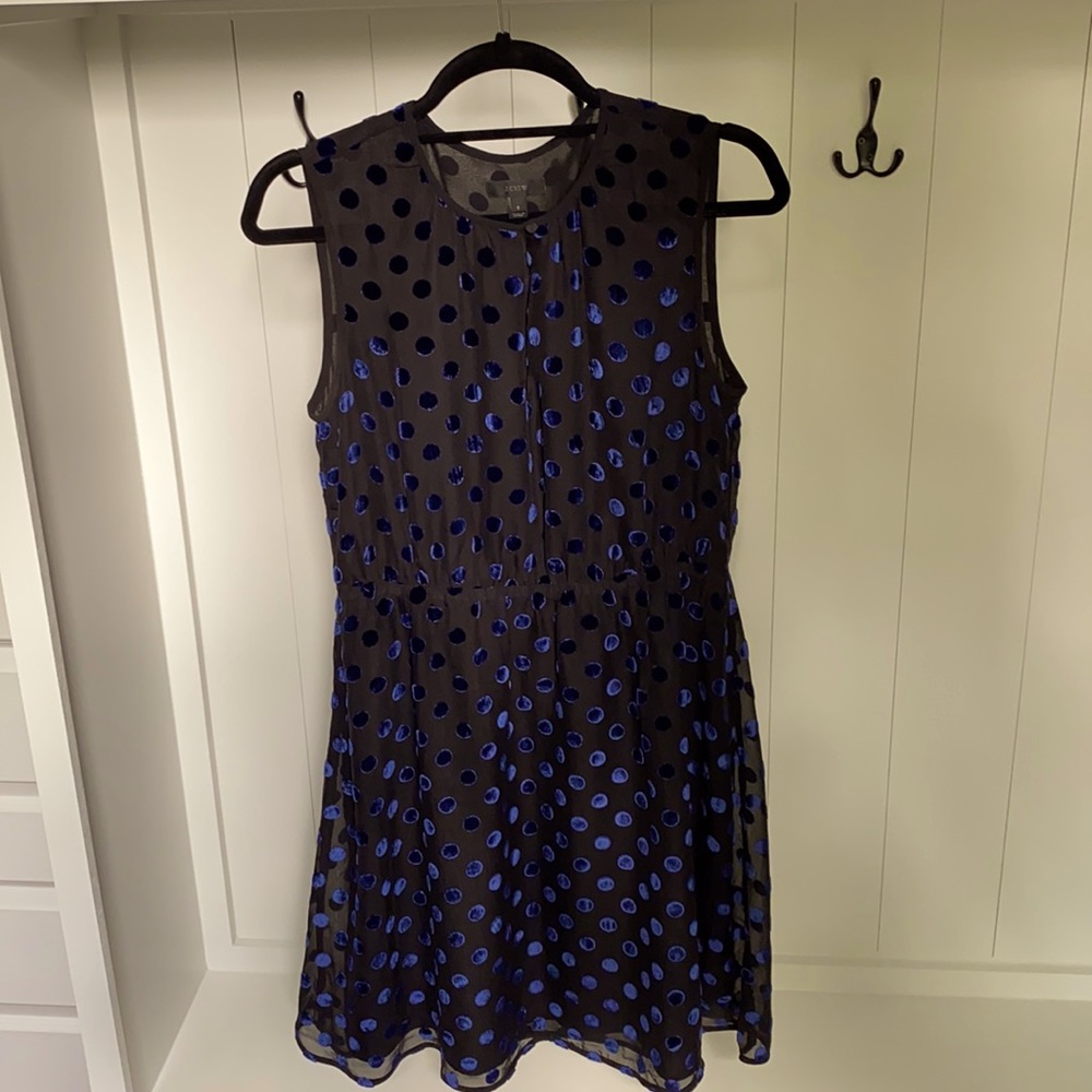 BEAUTIFUL J Crew Dress